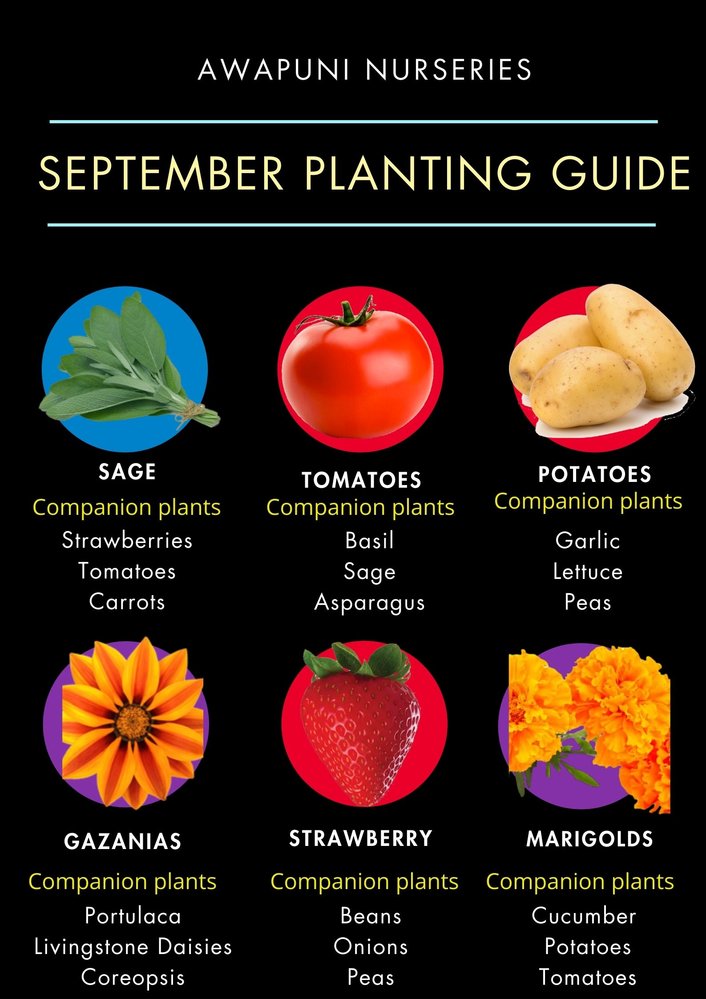 September